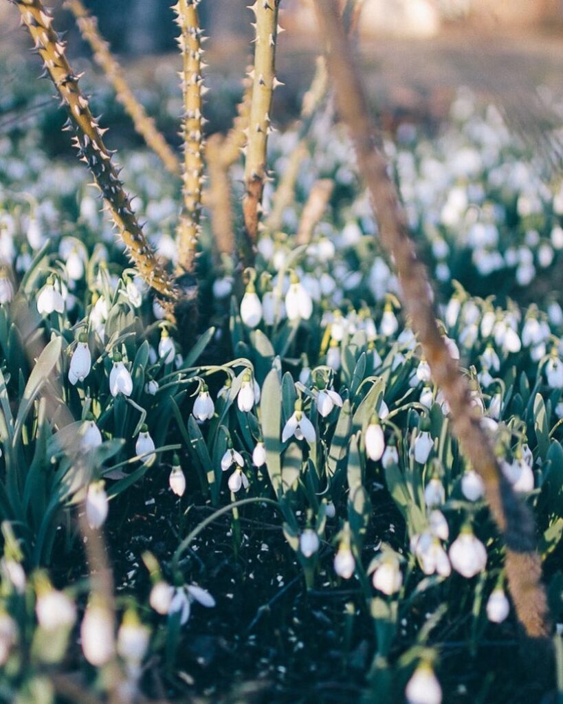 Lovely Life 441 154371245 132600288748102 4770416985071281755 n Lovely Life