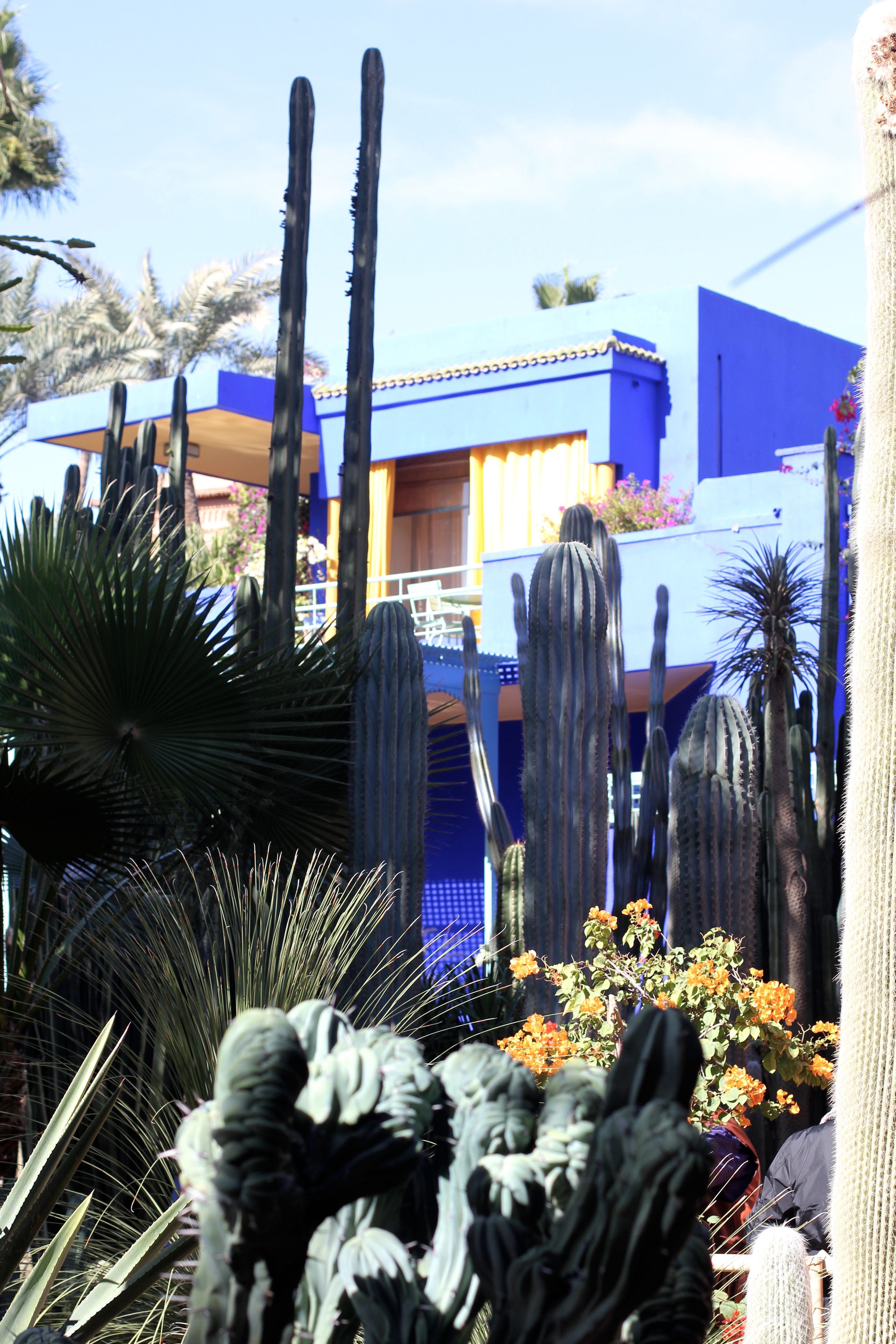 Läs mer om artikeln YSL IN MARRAKECH