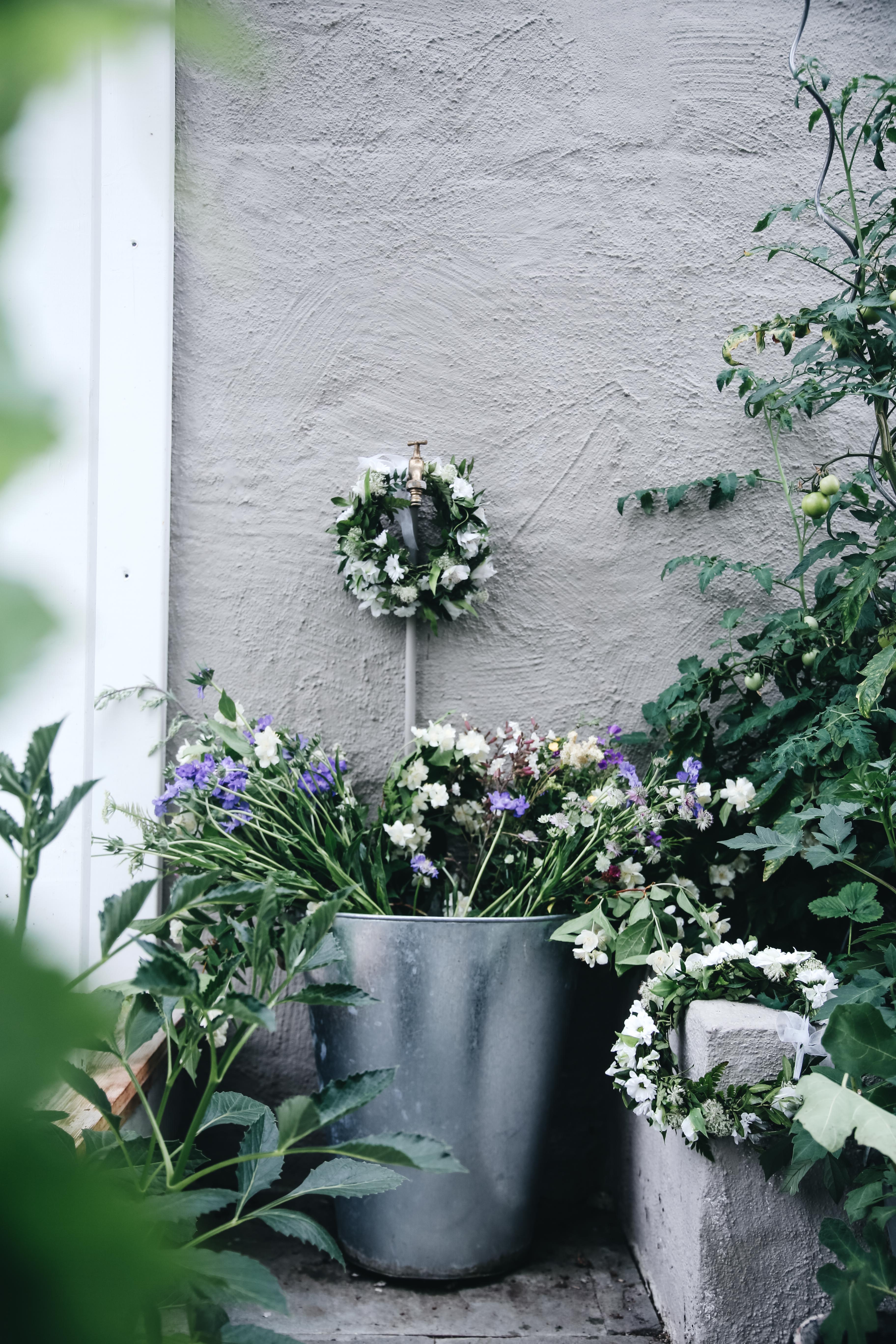 1FC4314B C967 4133 B65A 3424905B0F9D Hej hallå