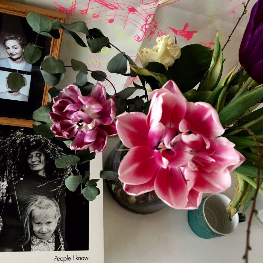 gamla blommor, gamla vänner och nya projekt 3 tulpan53163