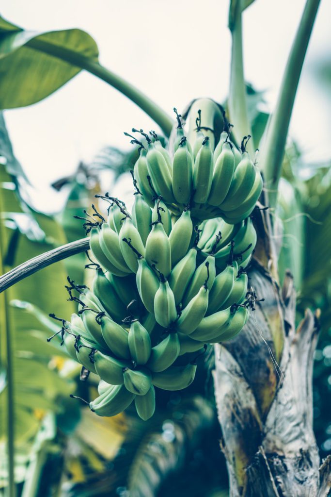 Lovely Life 397 Lovely Life Katrin Baath 06246 Lovely Life