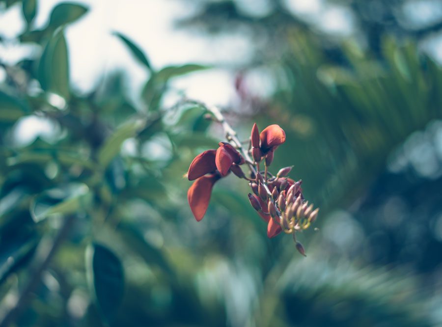 Lovely Life 417 Lovely Life Katrin Baath 06373 Lovely Life