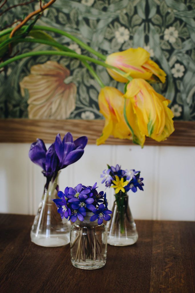 plathuset var horsne blasippor4 Lovely Life