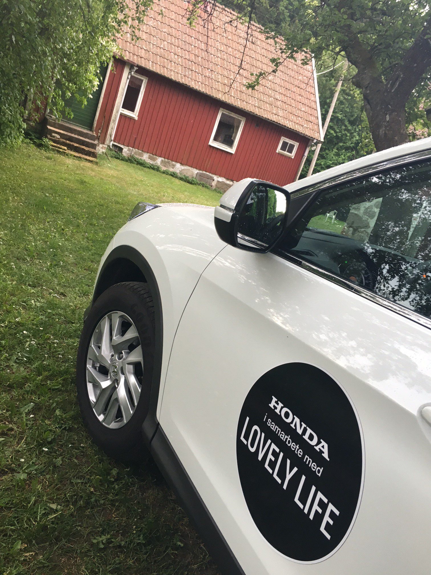 Läs mer om artikeln Lovely Honda Life
