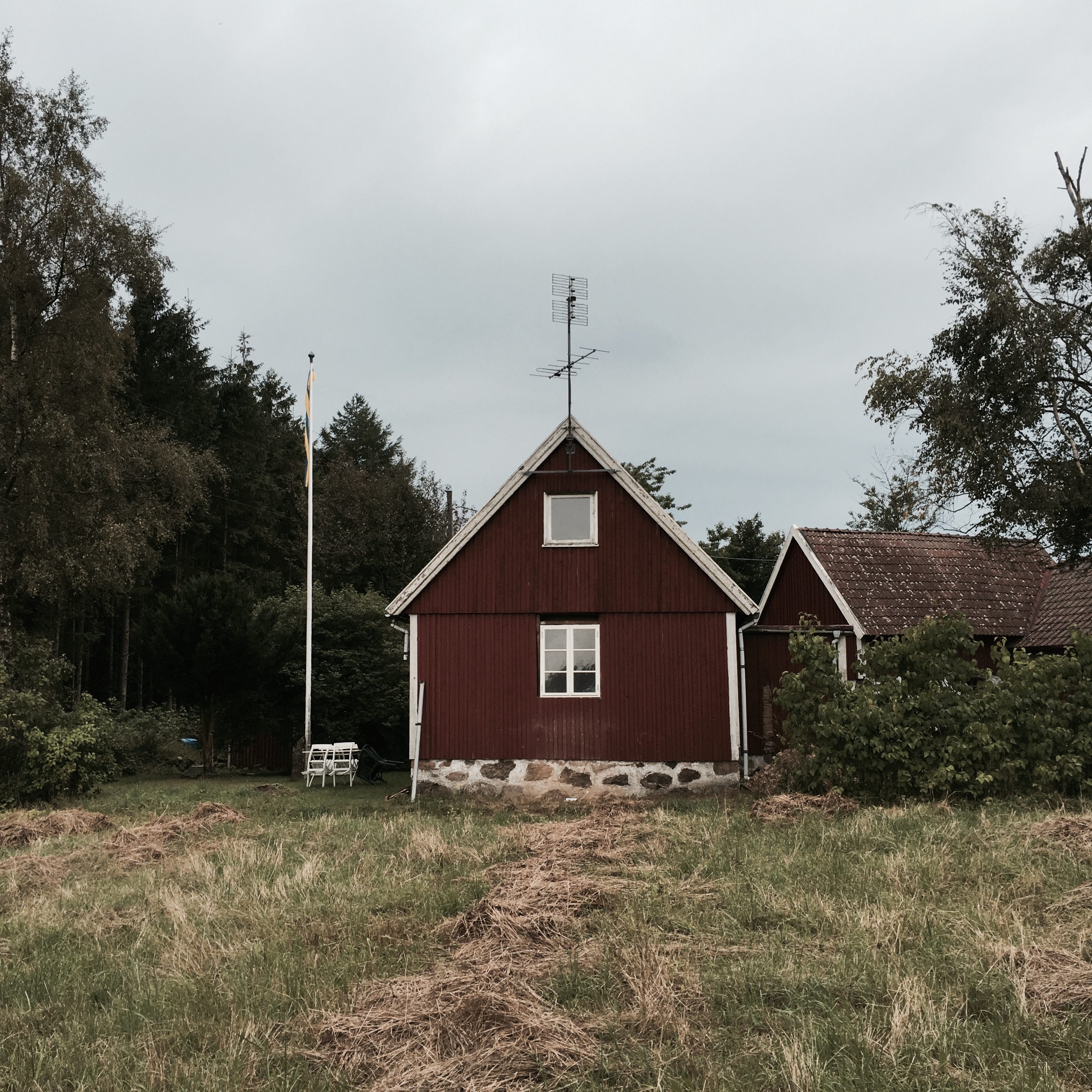 Läs mer om artikeln Grå kulör