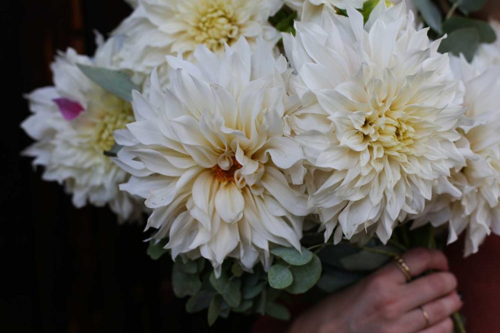 JZ4A9558 webb Lovely Life