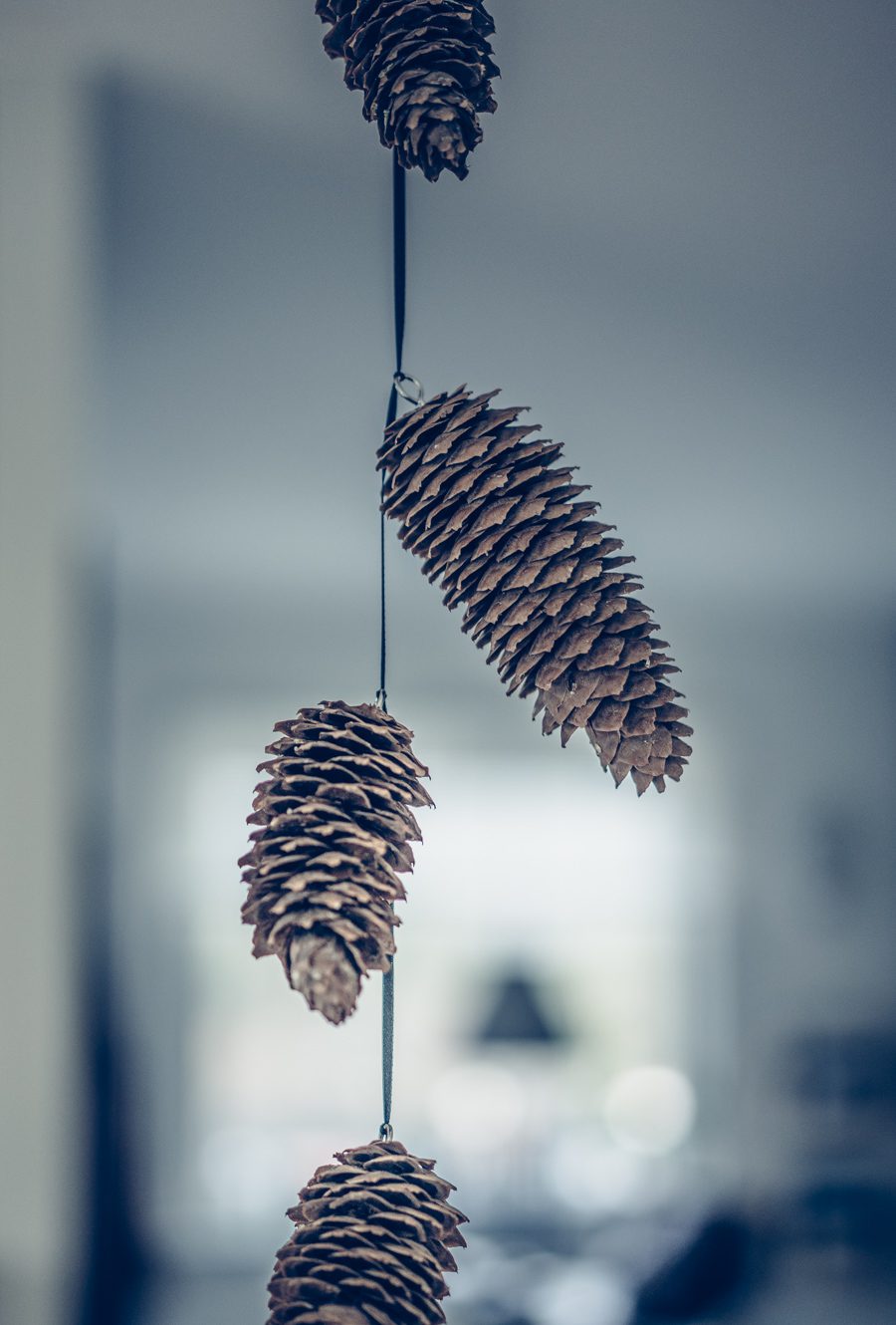 Läs mer om artikeln DIY – Kottegirlang.