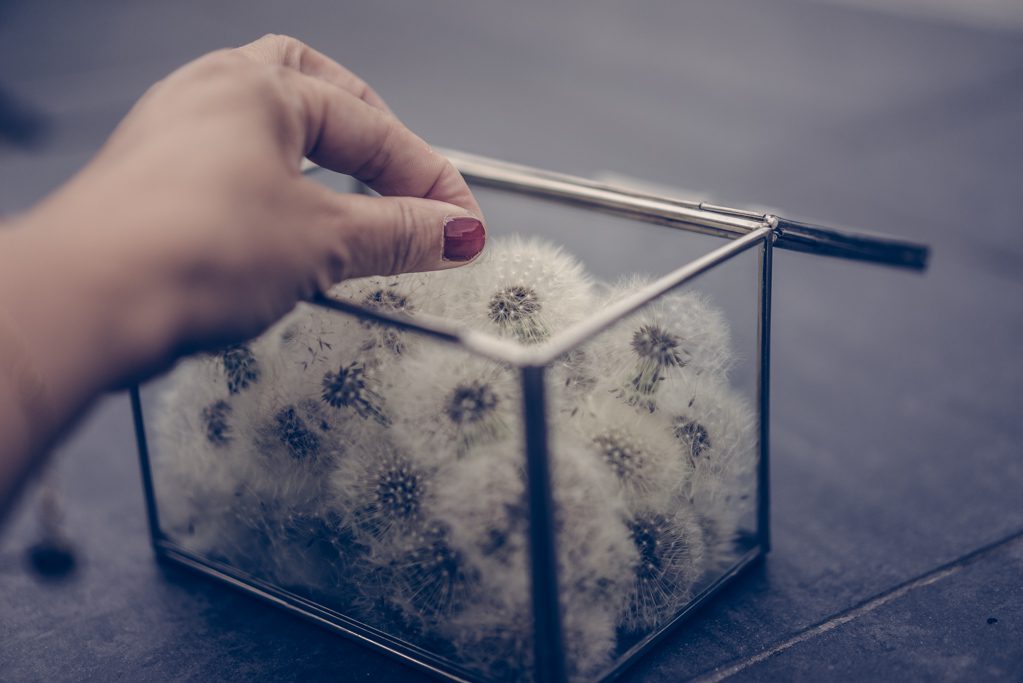 Att spara maskrosbollar & lycka. 1 Lovelylife katrinbaath 123 06530 Att spara maskrosbollar & lycka.