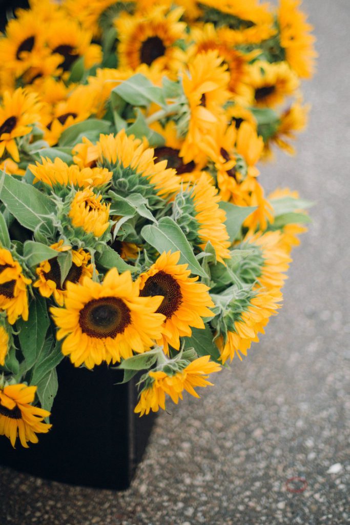 farmmkt25 0913 Lovely Life