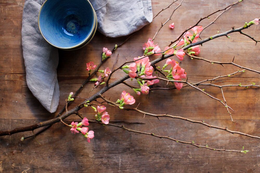 img 5240 Lovely Life