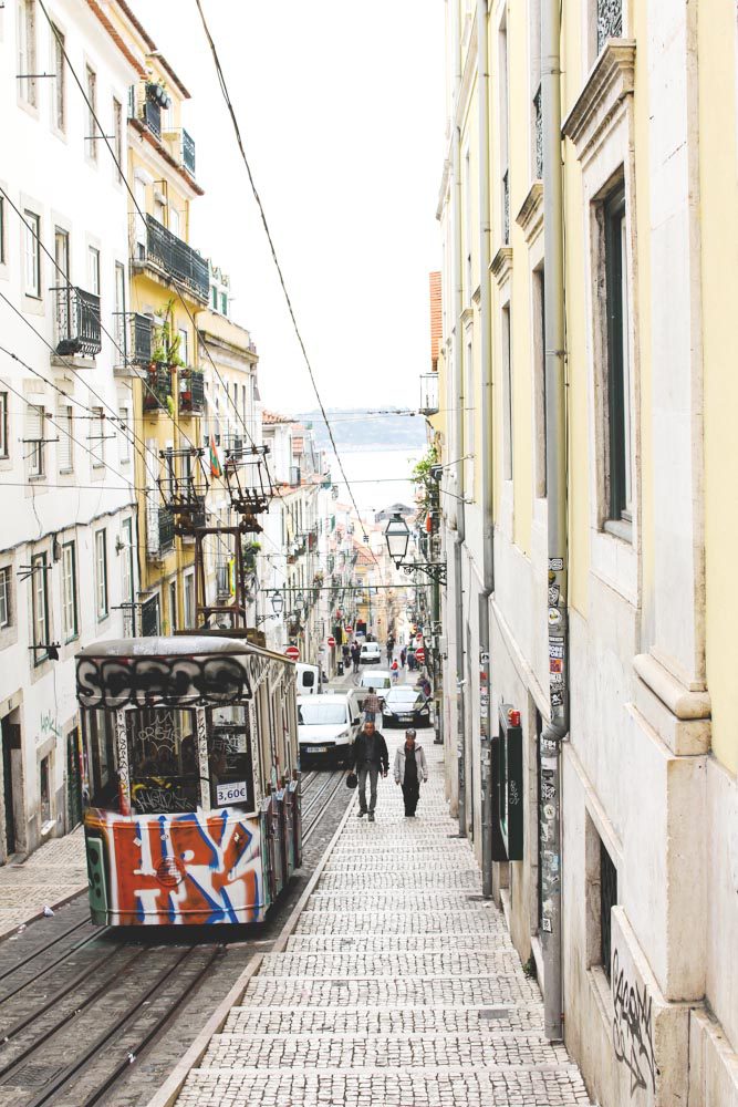 lissabon gator Lovely Life