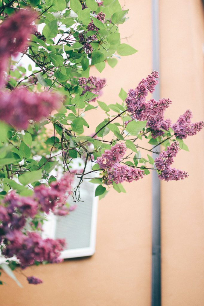 lovely life volang kungsholmen Lovely Life