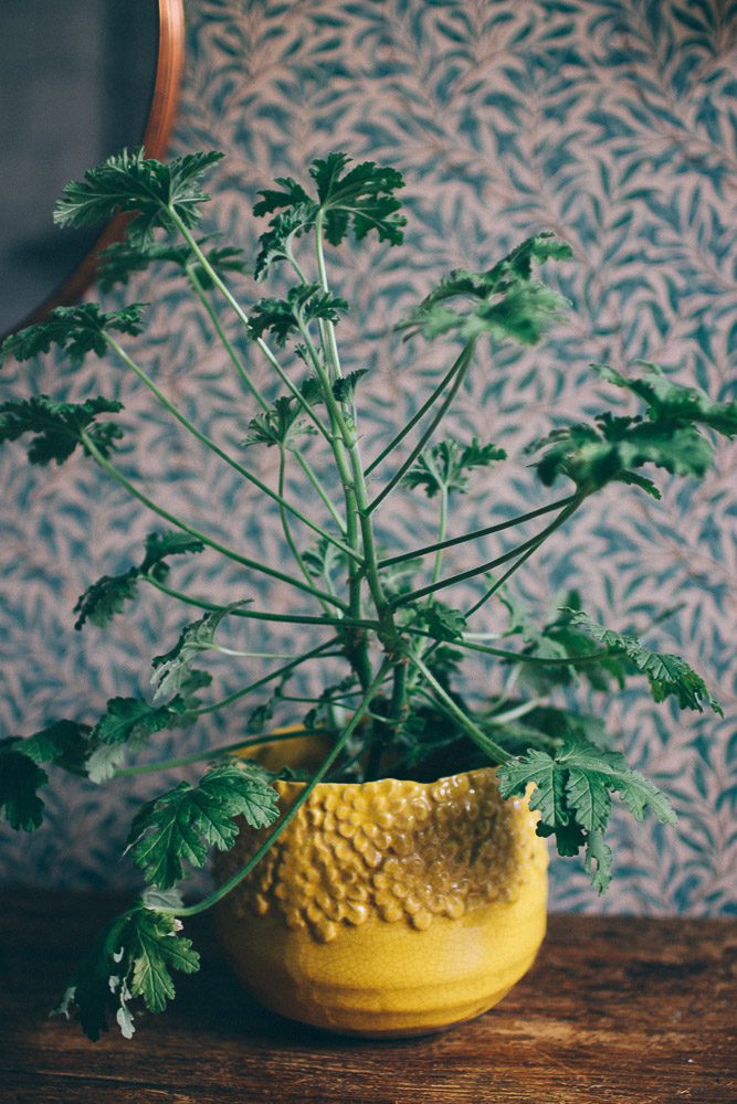 vintagefabriken kruka 7 Lovely Life