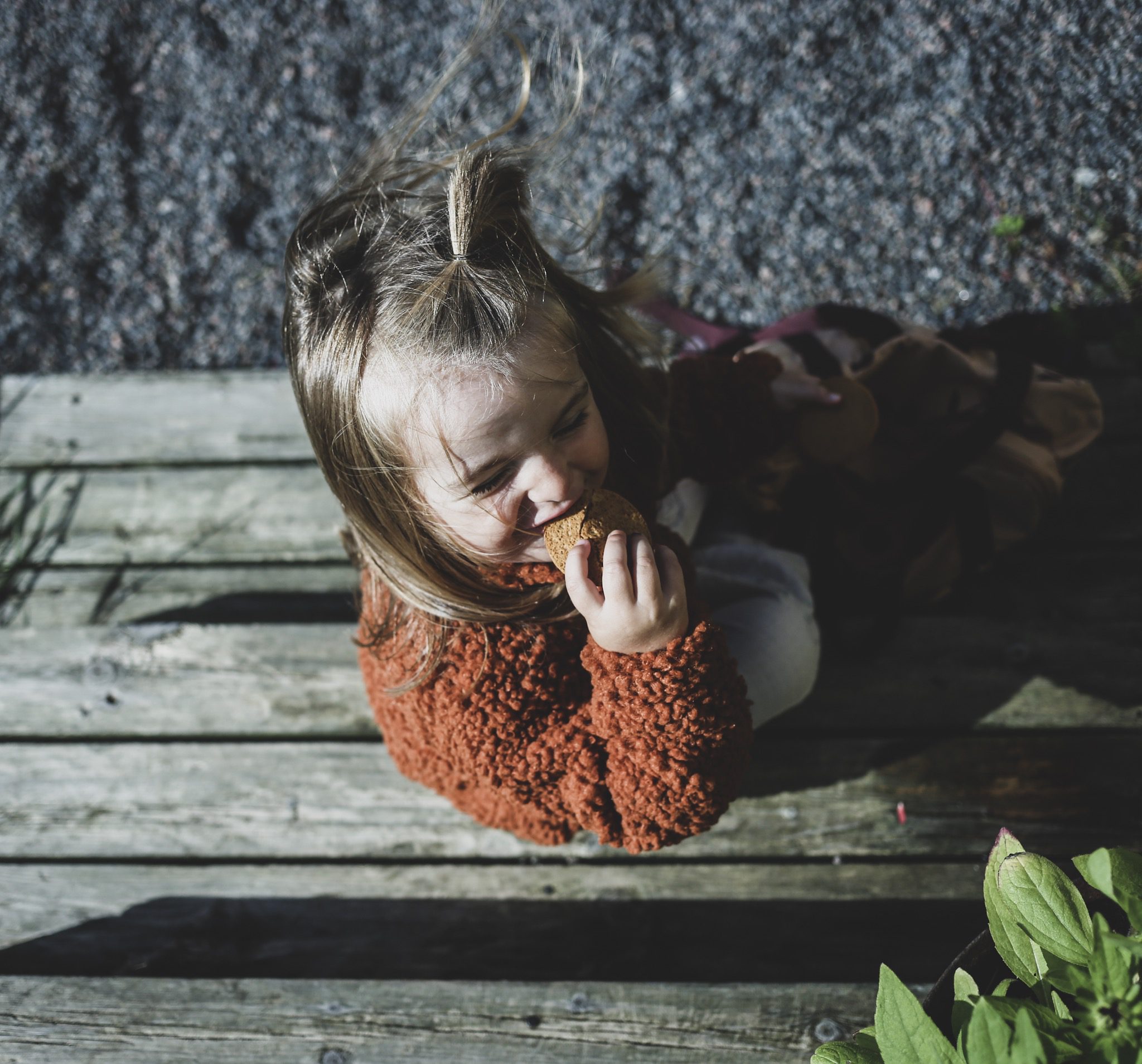 24376A5A 8252 420F 8731 44A7A7D67DFF HEJ RUTINER