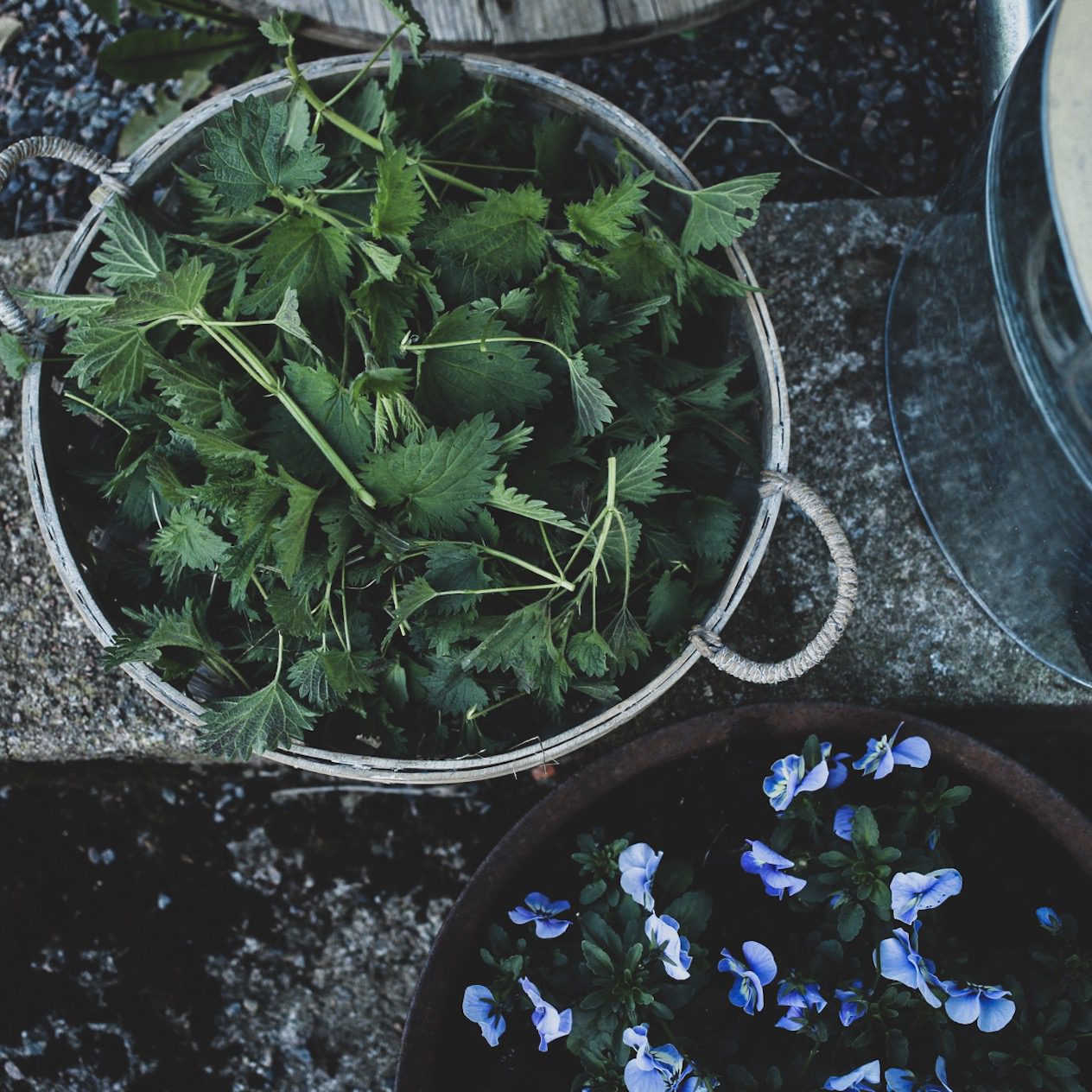 Lovely life recept nässelsoppa 