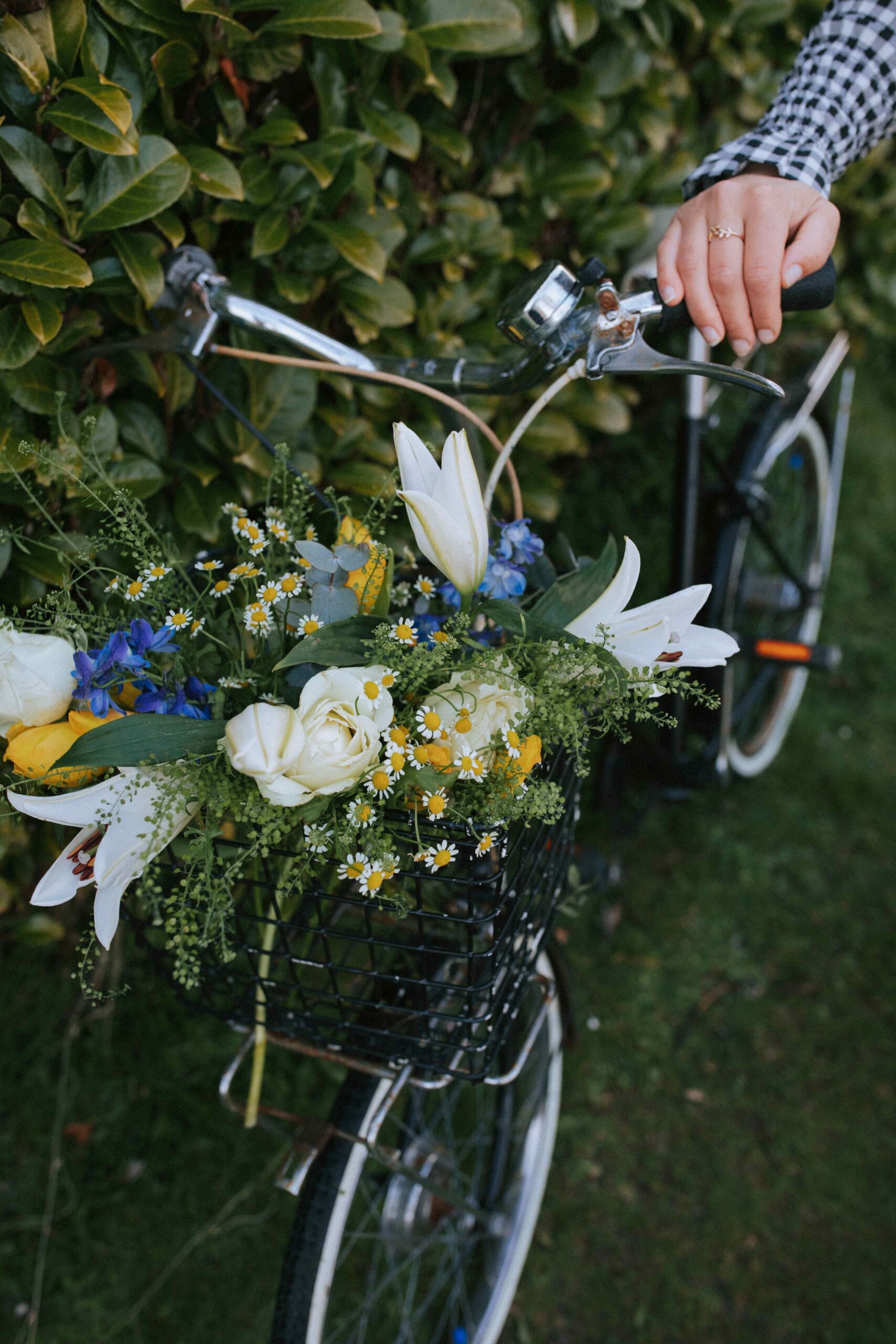 5K6A8860LLRODI scaled Longing for summer