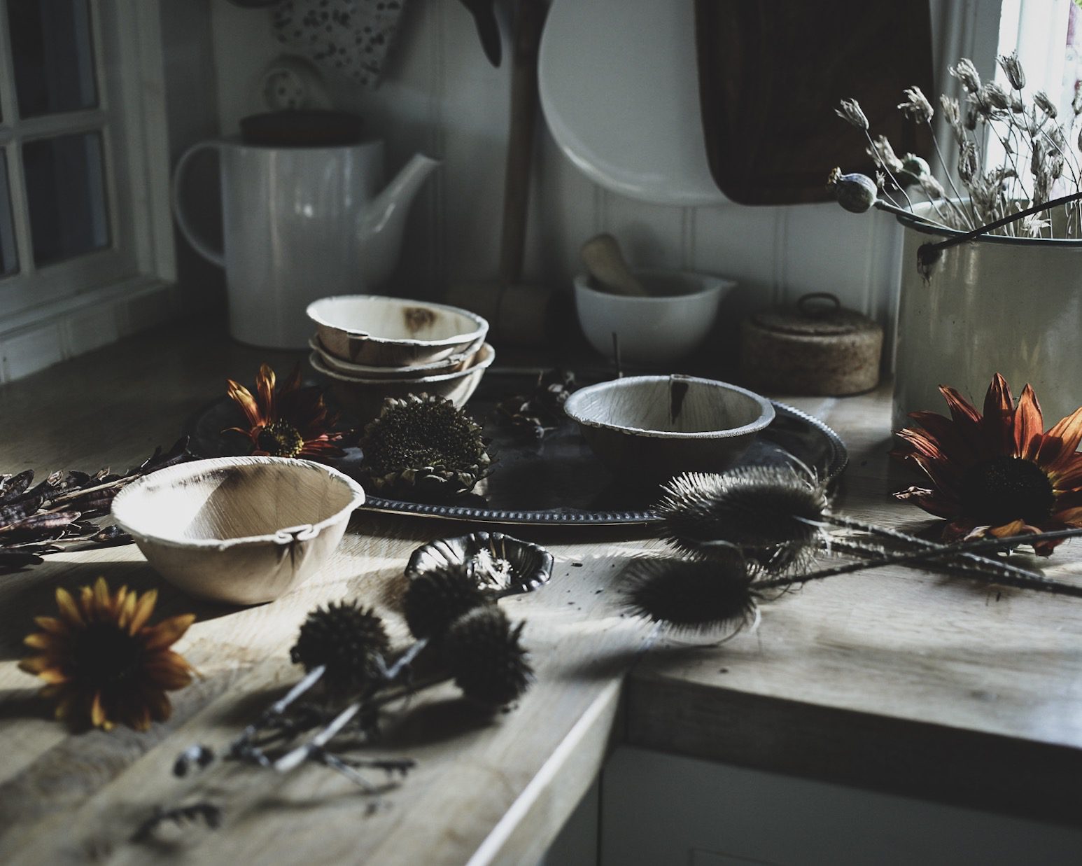 TIPS: SAMLA FRÖN FRÅN TRÄDGÅRDEN 1 63017072 3482 440D 840F 0DC410FB4755 TIPS: SAMLA FRÖN FRÅN TRÄDGÅRDEN