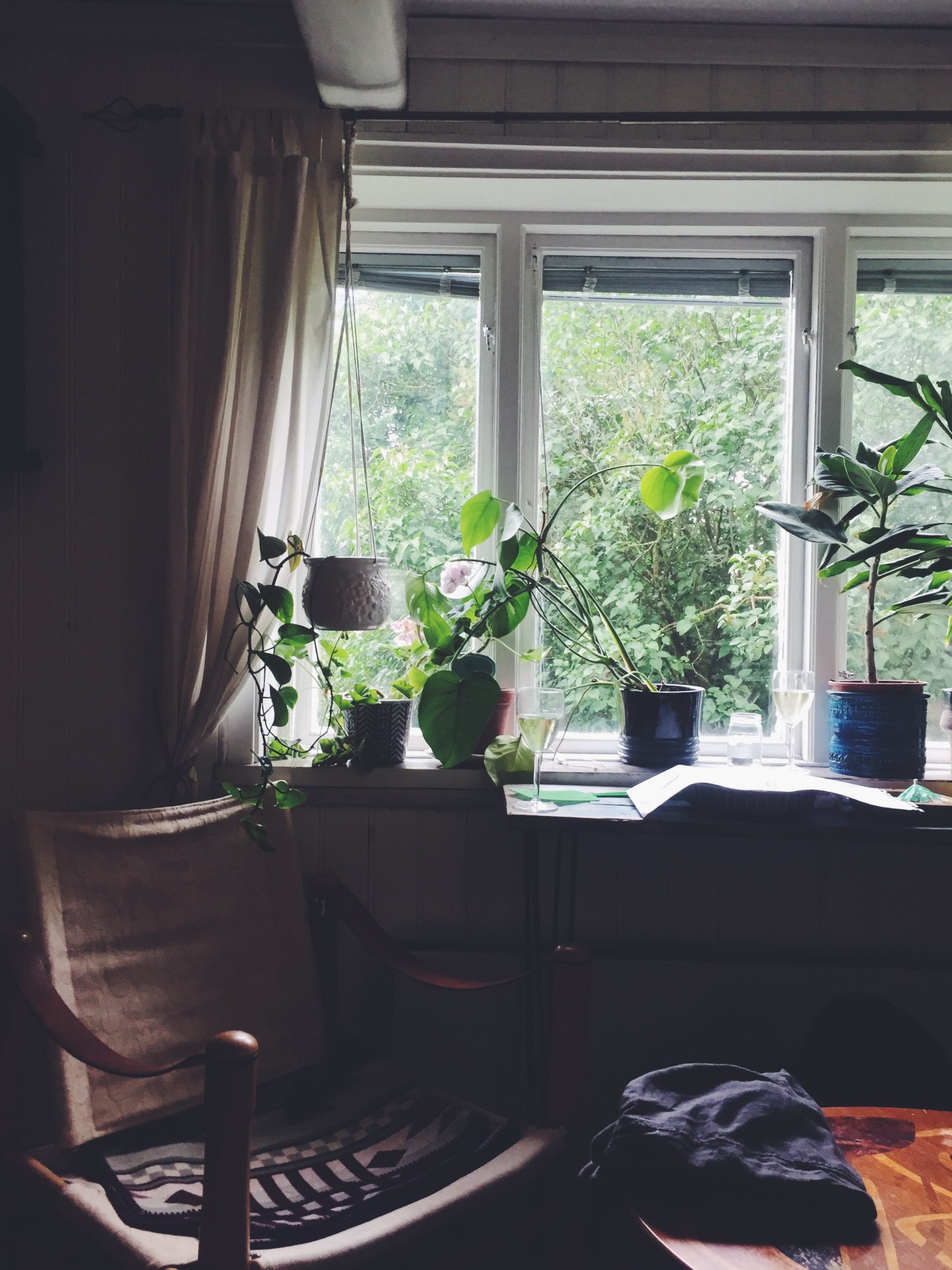 Läs mer om artikeln Allt det vilda (blommorna, insidan och hennes hår)
