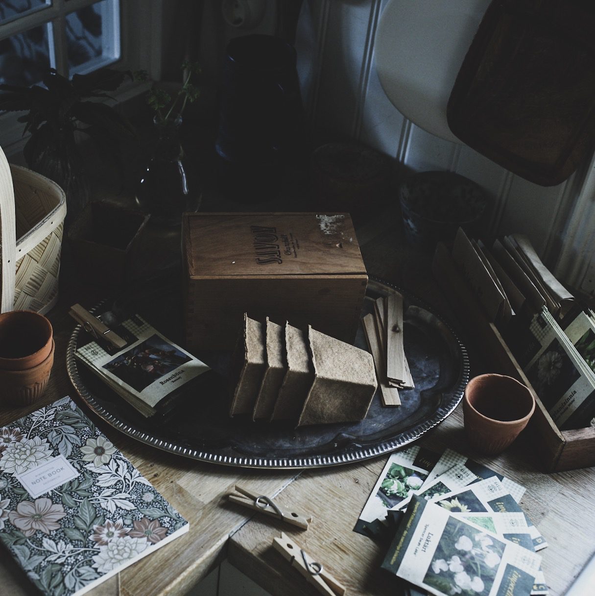 Läs mer om artikeln Förkultivering och frösådd