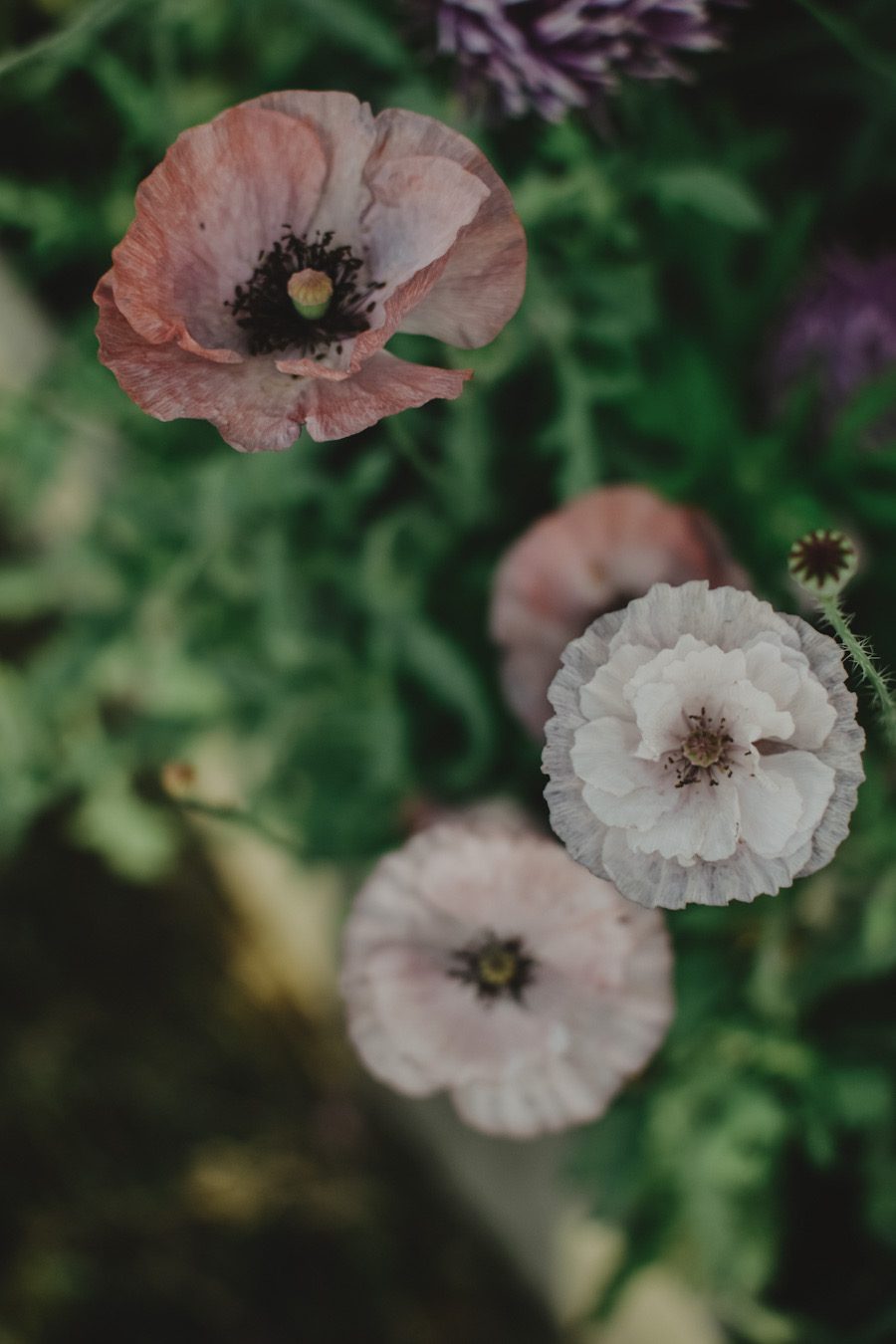 99FFDC3D FB58 45BB B47A 93DBEFBC84F8 En förändring i vardagen