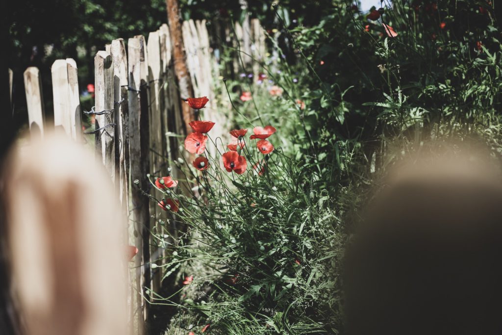 9A48770F 4779 4327 AF87 B330BB32F0D4 Lovely Life