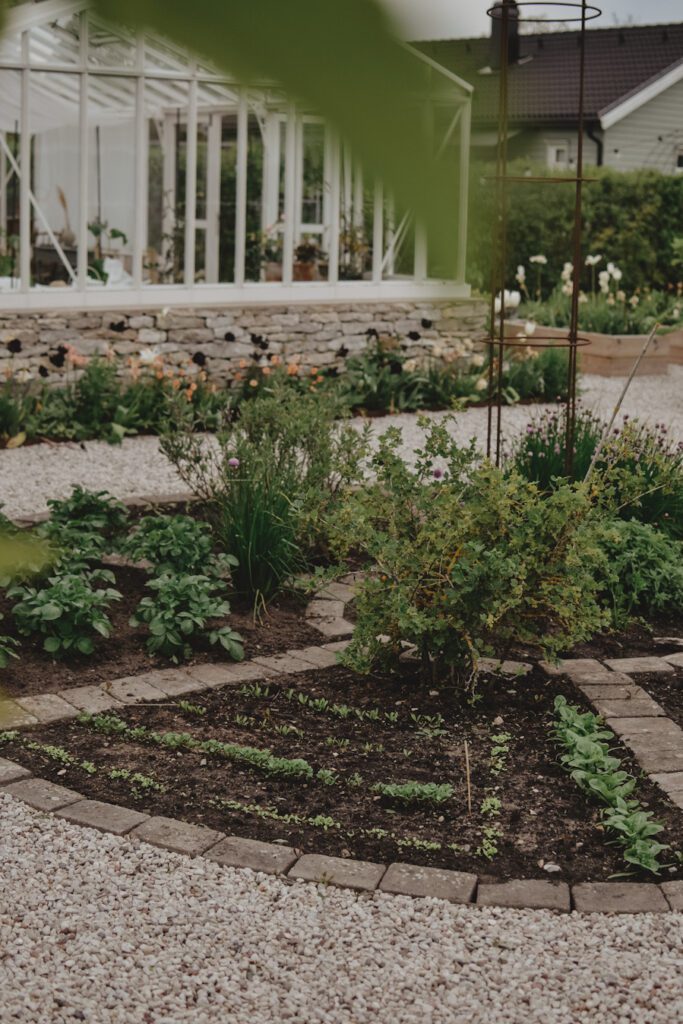 A1404AB1 35D8 4CE4 9EB7 41C3838B4A93 Lovely Life