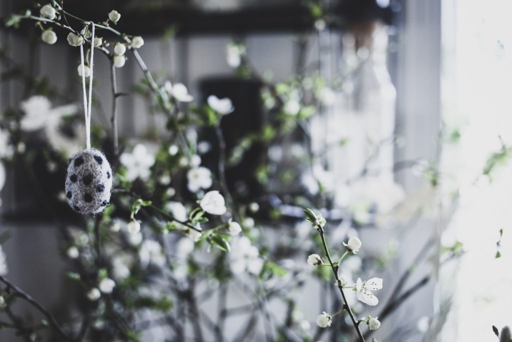 B7CFD4D3 080D 48F9 9D0E 09725C027DD7 Lovely Life