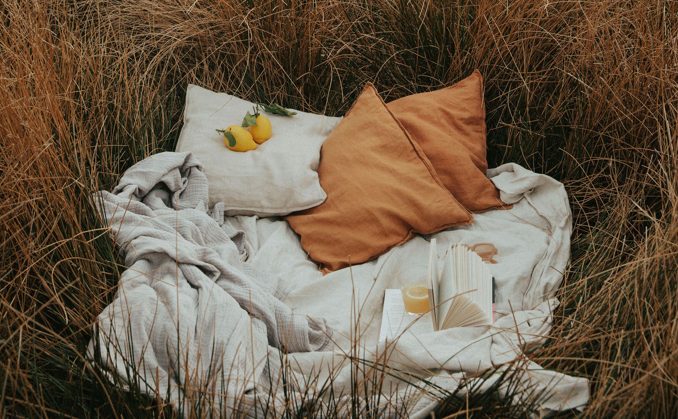 Läs mer om artikeln unmotivated-motivated