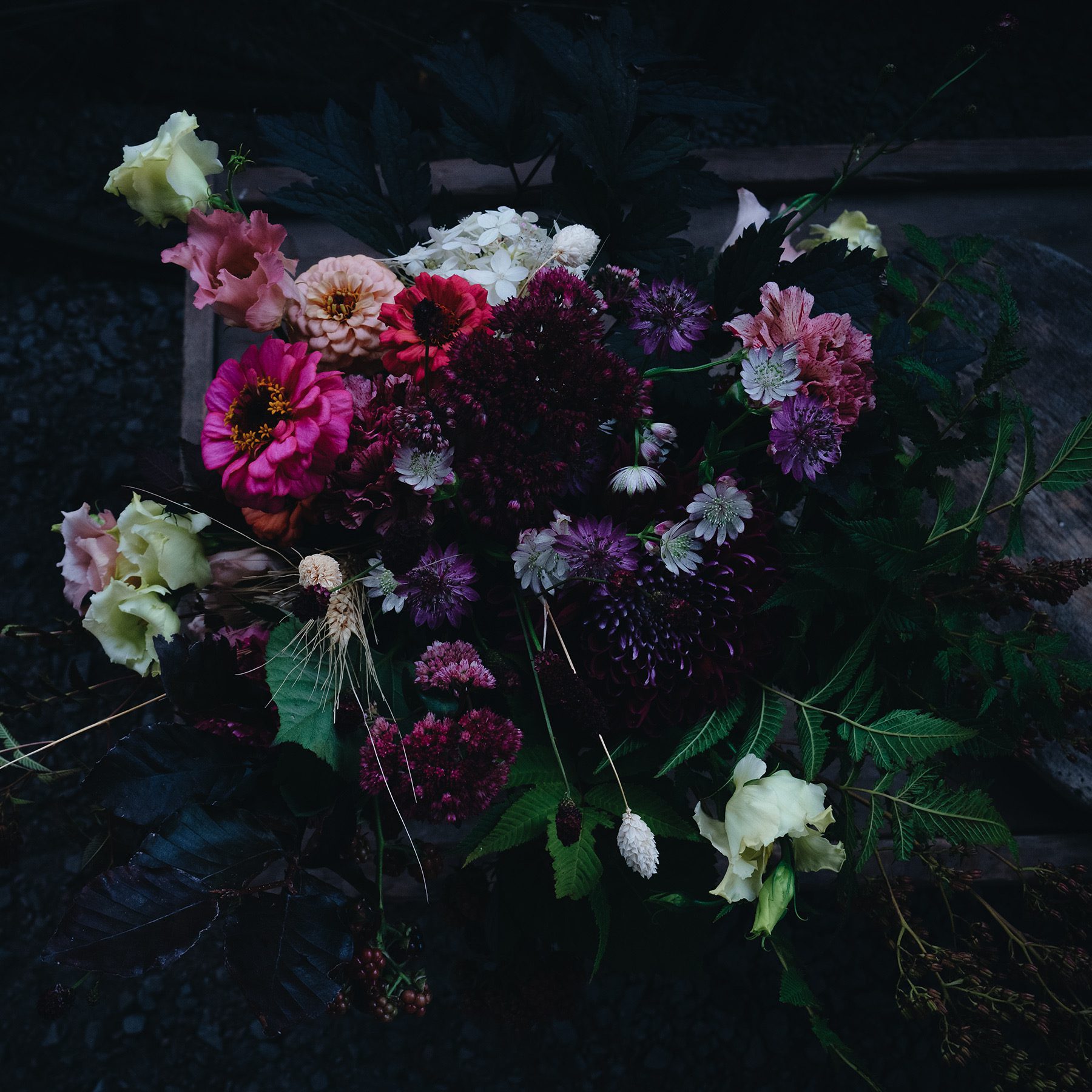 Läs mer om artikeln Inspiration för trädgårdsintresserade!