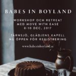 Babes in Boyland - Winter Workshop and Retreat