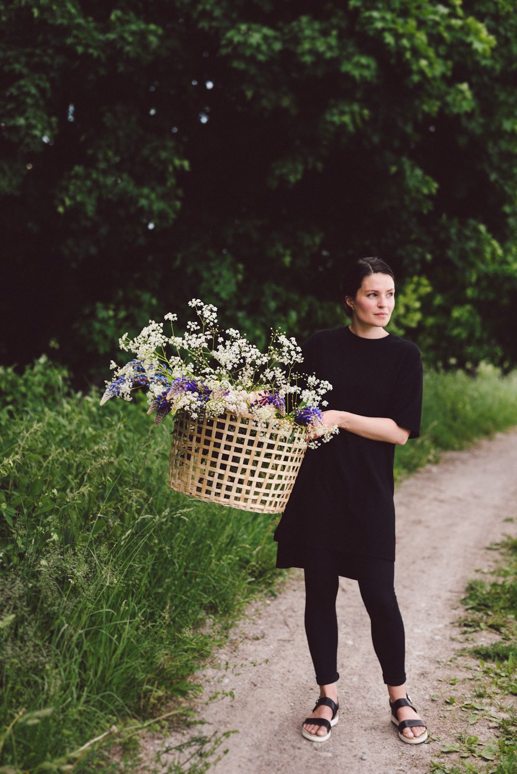 Läs mer om artikeln Midsommarblommor