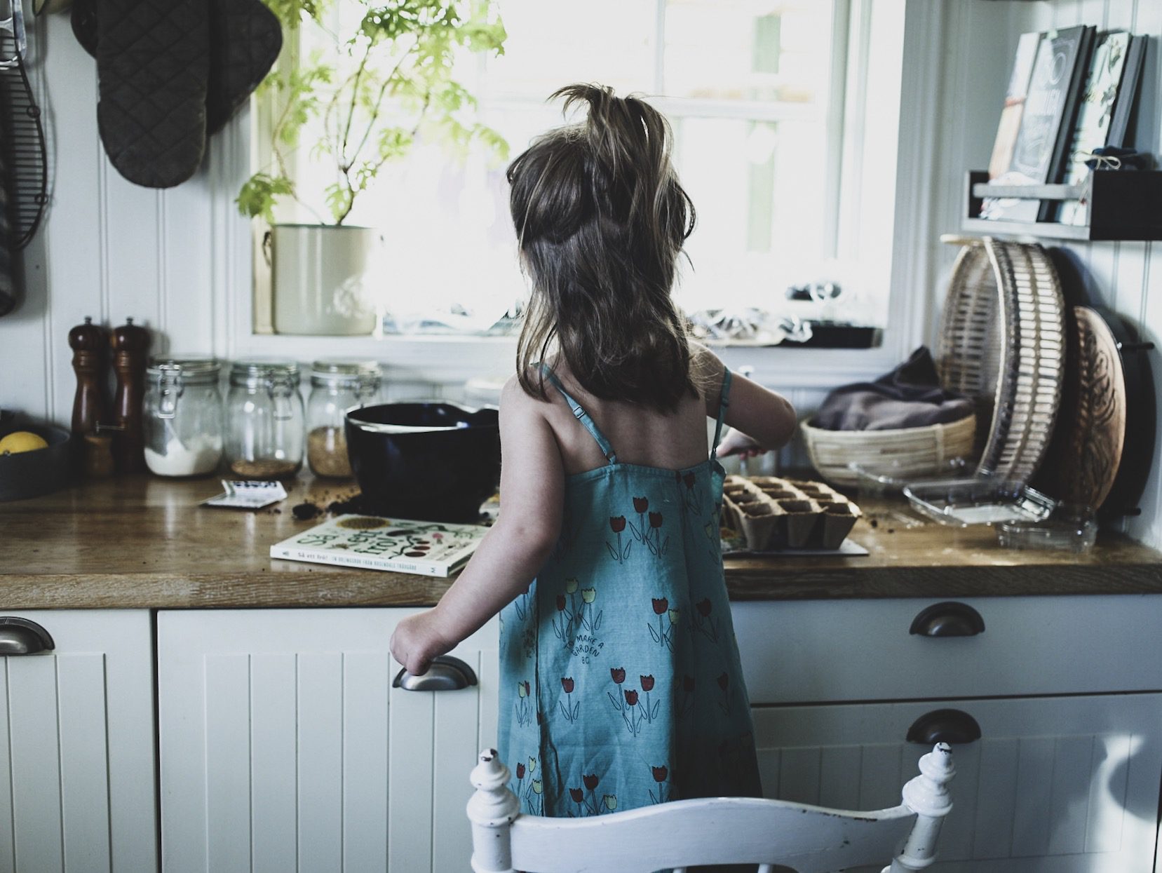 CF11E717 3C34 46D5 BAF6 C9176E144AEA SÅ ETT FRÖ