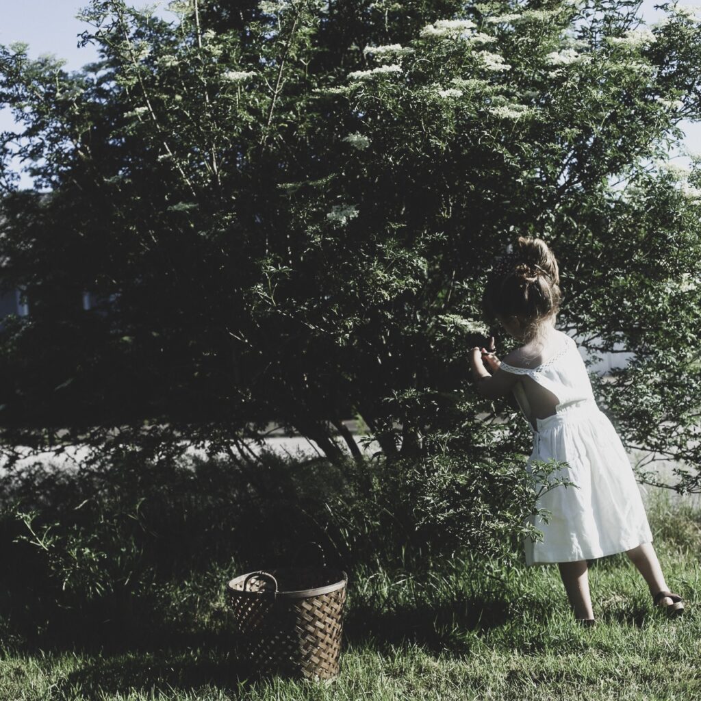 D6ECAC6F F70F 4C7E A94D 375878811E5B Lovely Life