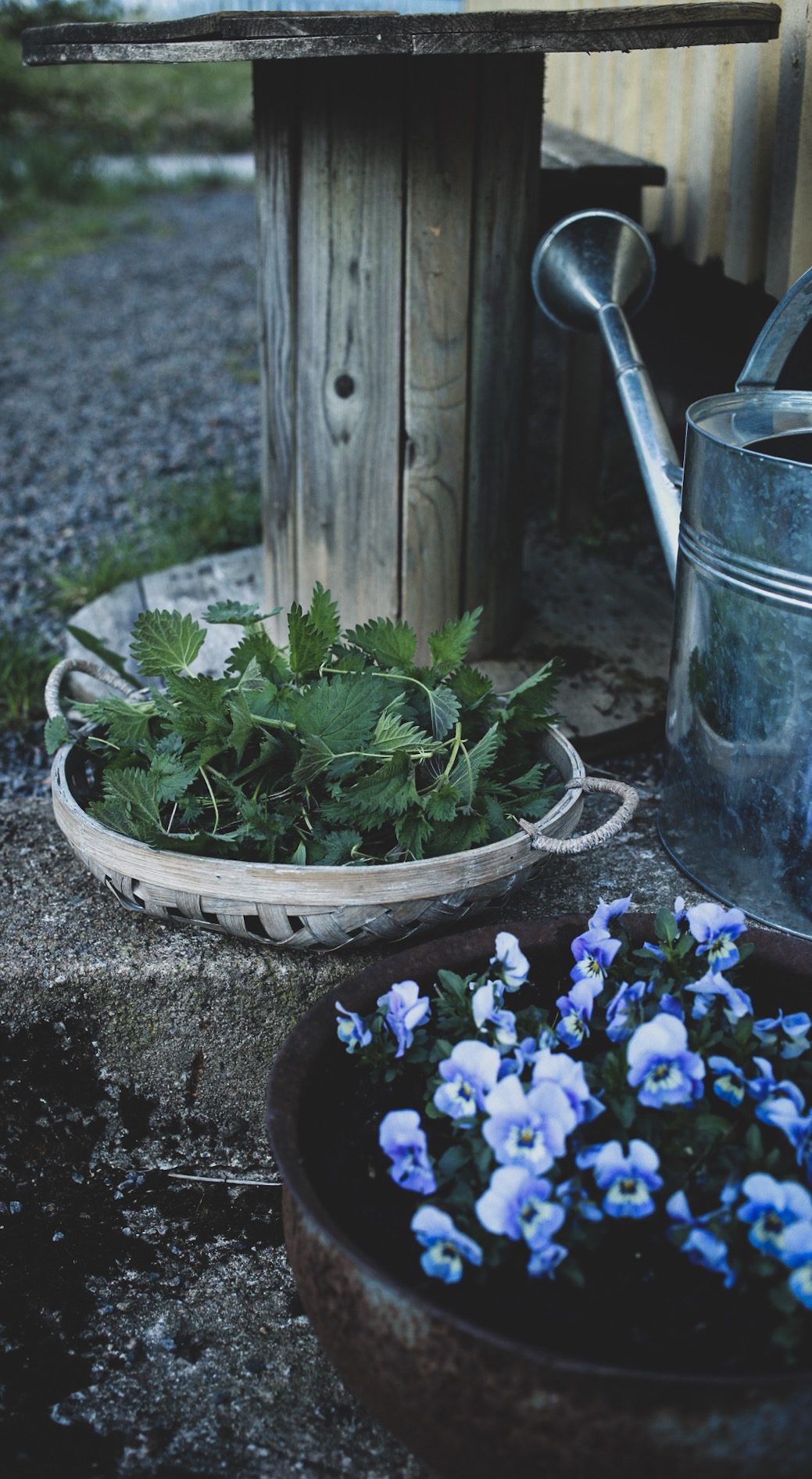 Lovely life recept nässelsoppa 