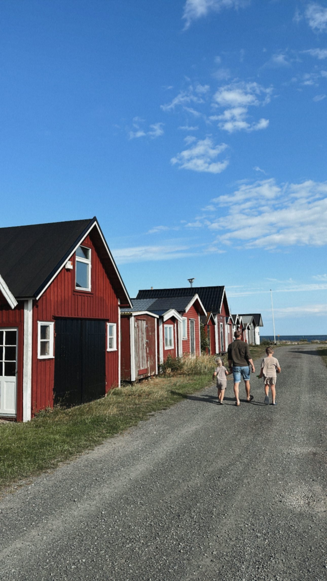 Läs mer om artikeln Österlen