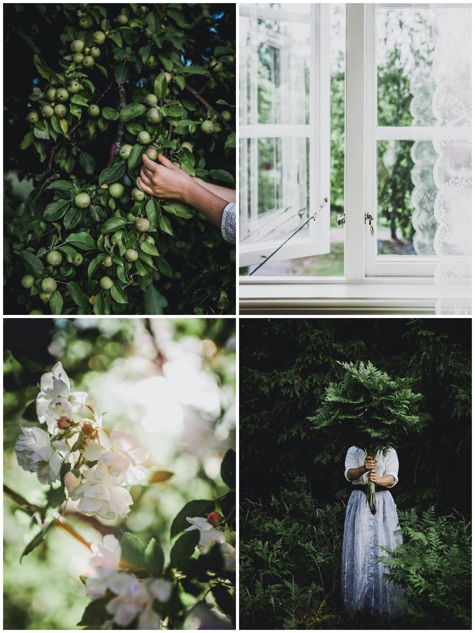 DEDC67B8 3891 4E99 9D08 78B6A2DF95C4 Inspiration