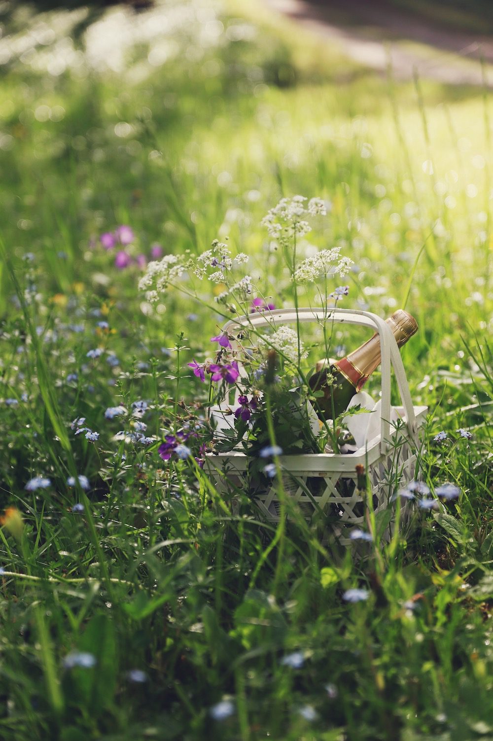 E64A210E 0C43 4150 B049 3EA353A71827 Det ska vara kungligt att leva, annars kan det kvitta