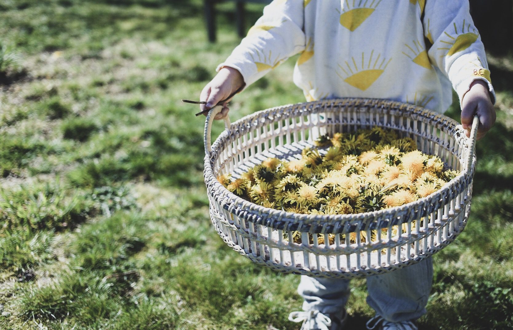 MASKROSSAFT 1 F58C8622 8F84 434E A69E 3815B78F3562 MASKROSSAFT