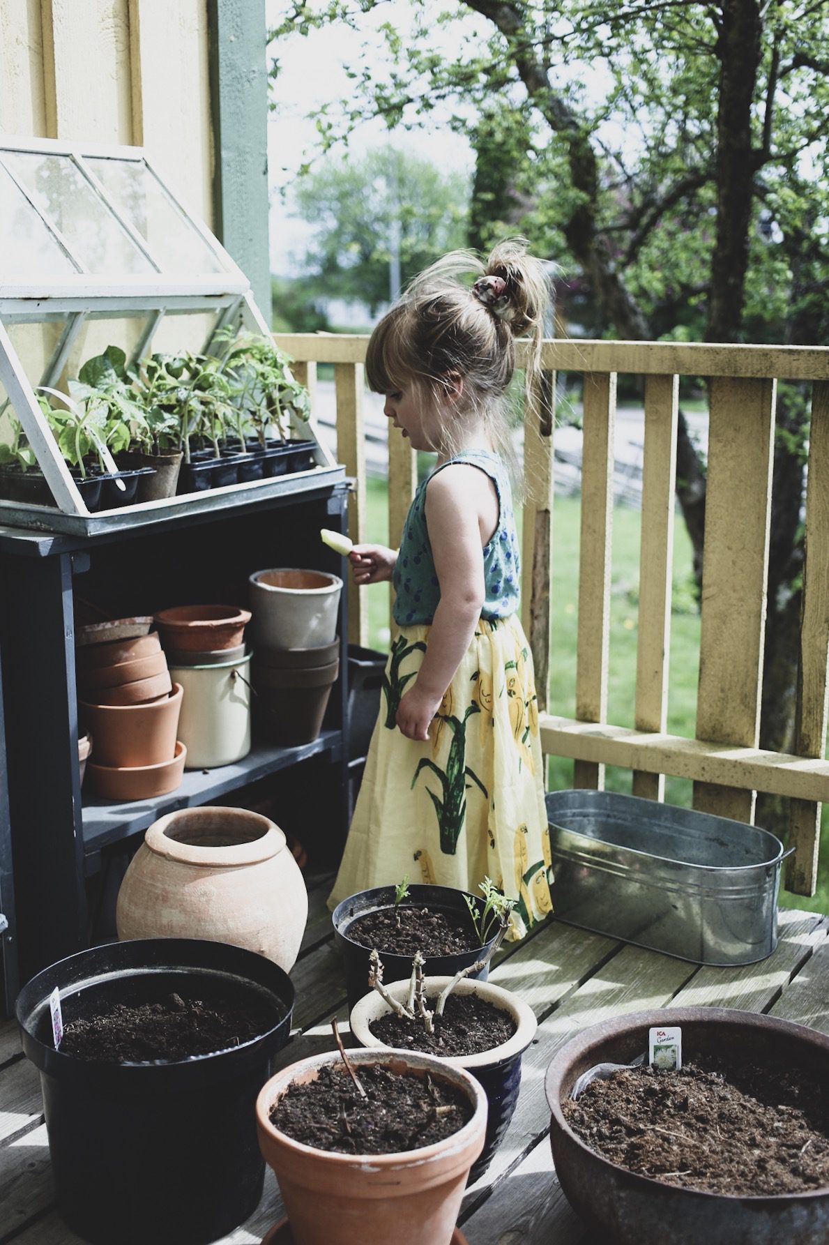 Ett barn vid ett växthus