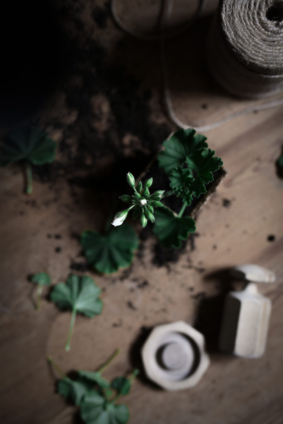 IMG 0289 Green Room Workshop