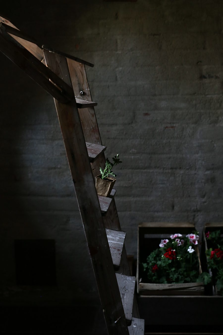 IMG 0307 Green Room Workshop