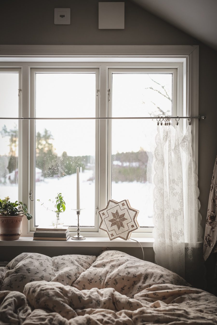 IMG 0979 Finaste julstjärnan fanns på loppis