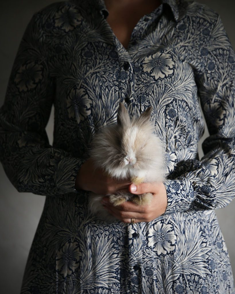 IMG 1142 Lovely Life