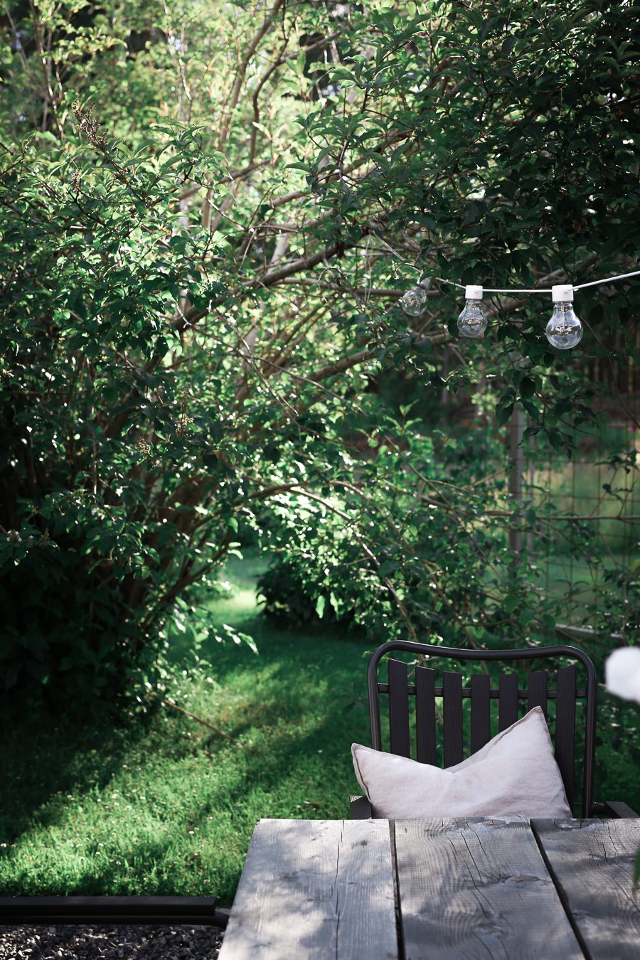 IMG 1883 Drömmen om ett växthus!