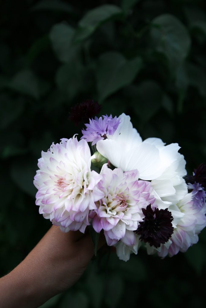 IMG 2701 1 Lovely Life