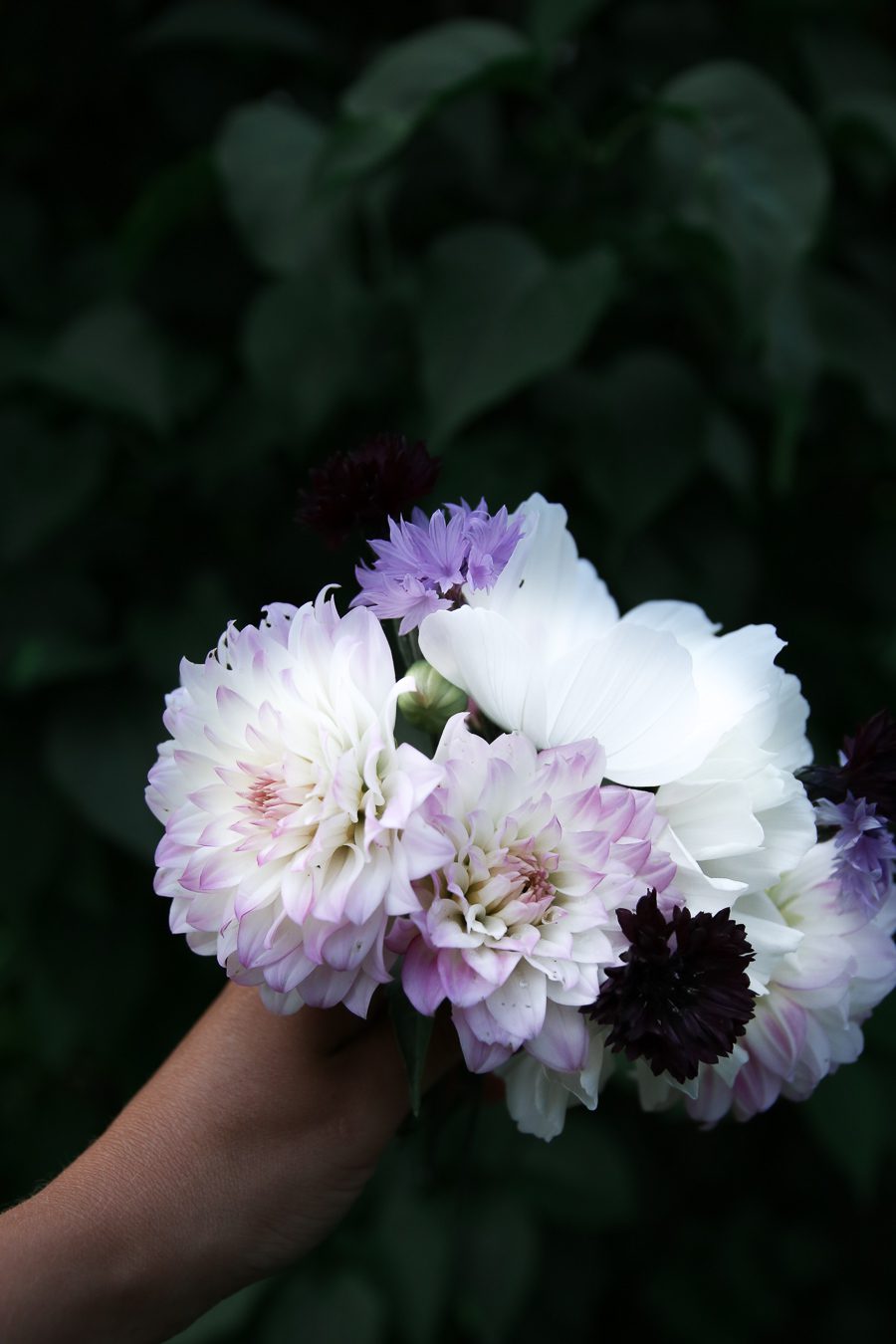 IMG 2701 1 Semester och kvällsbuketter