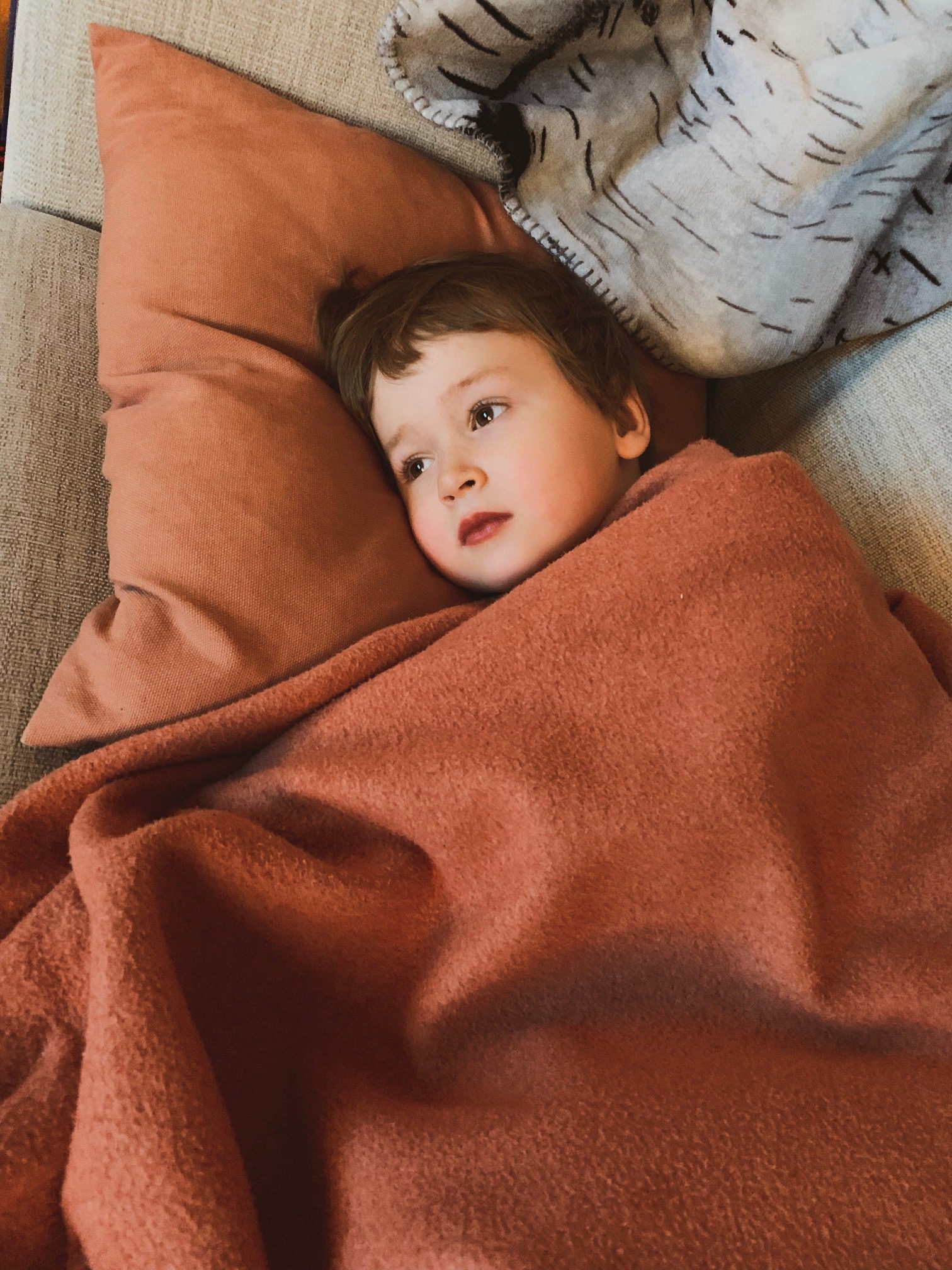 IMG 2736 Veckan som gått i Umeå