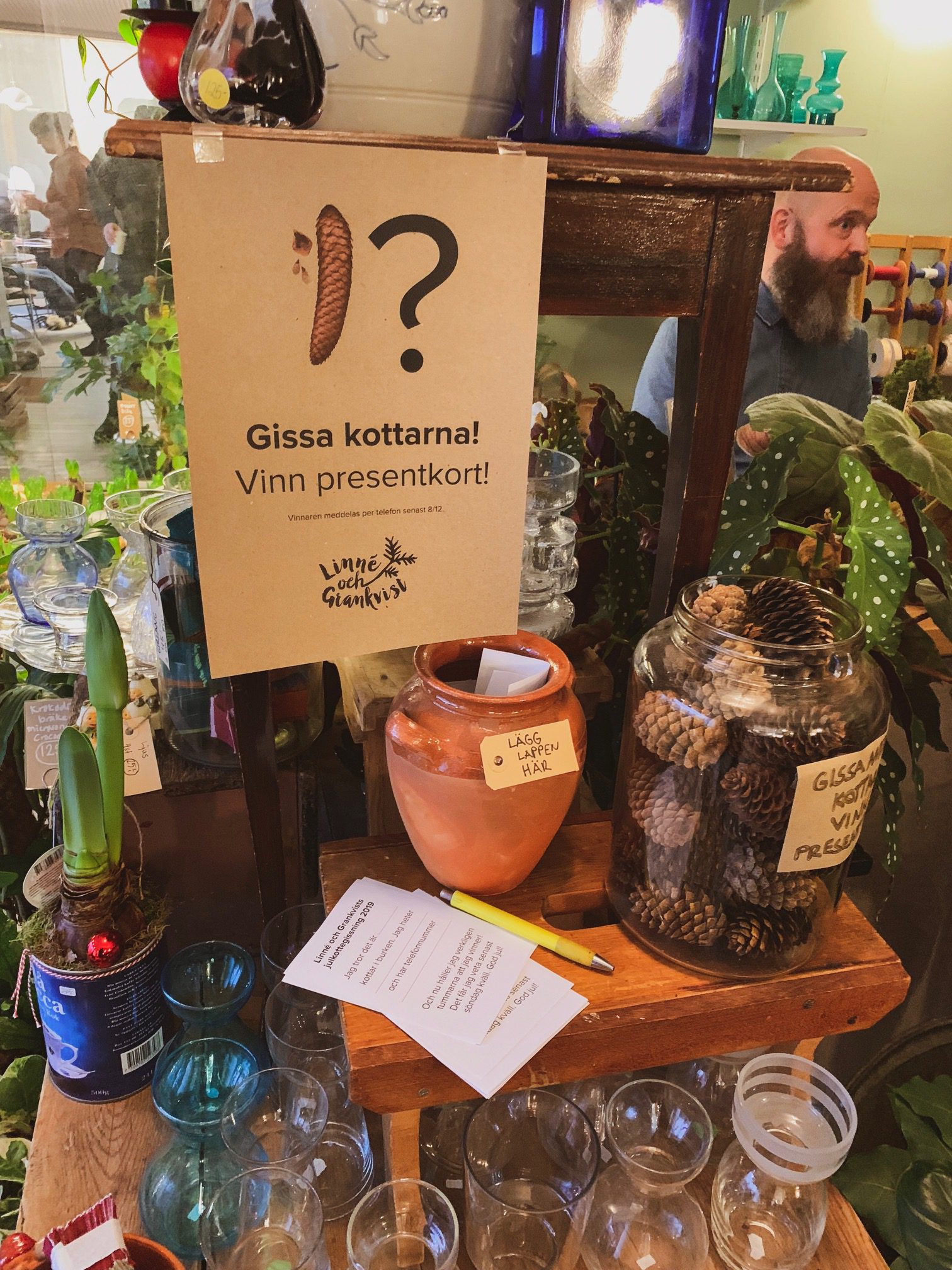 IMG 2889 Veckan som gått i Umeå