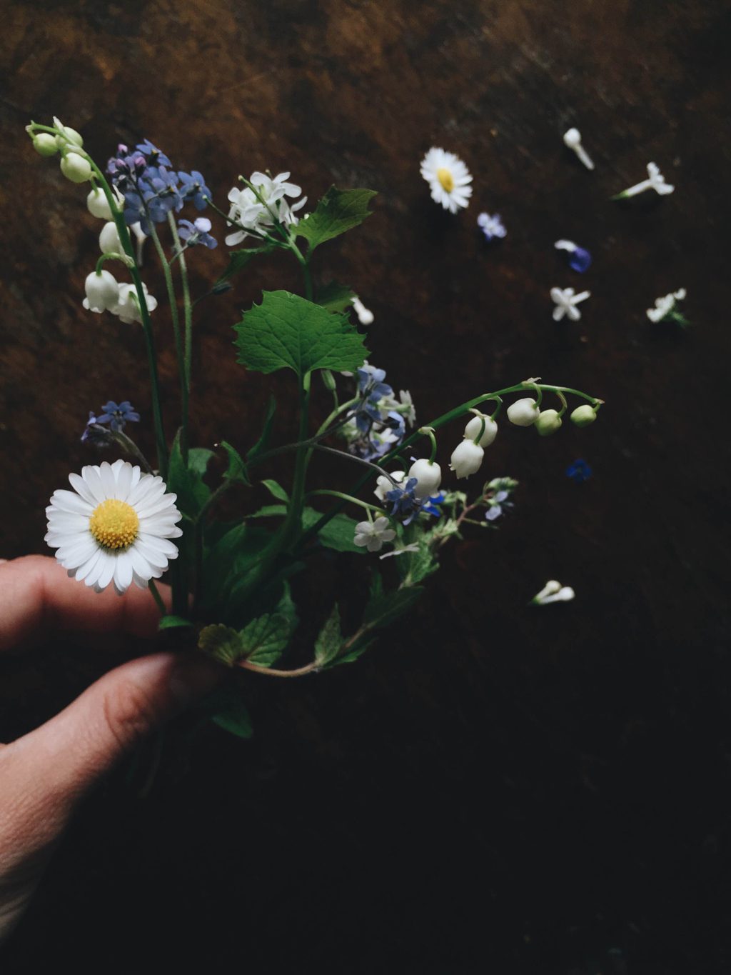 Läs mer om artikeln Den blomstertid nu kommer