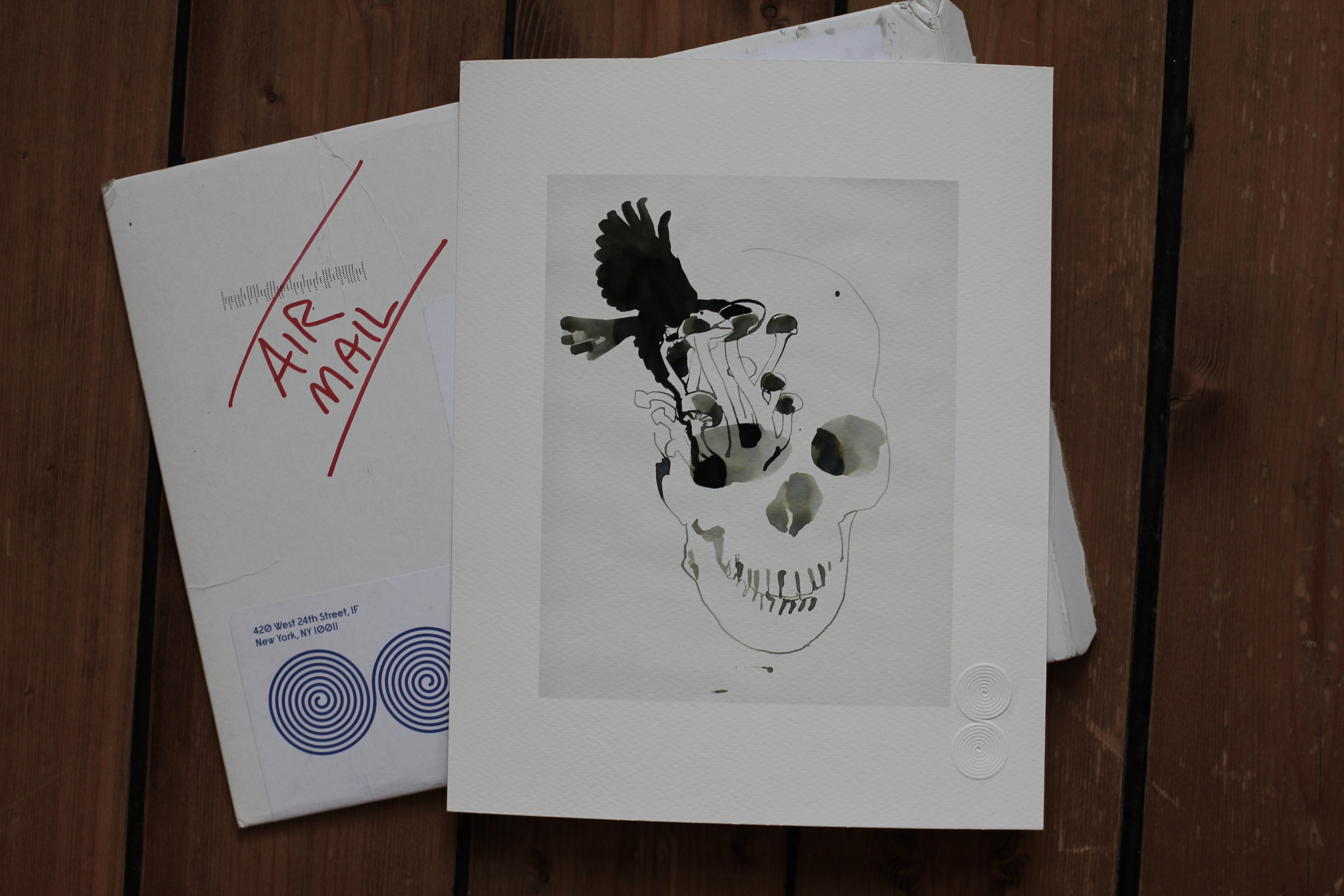 Läs mer om artikeln SKULL